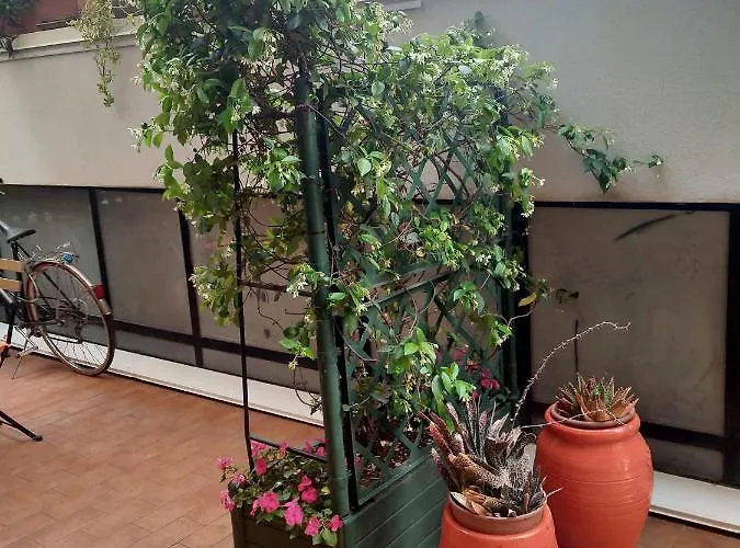 Casarancia Apartamento *