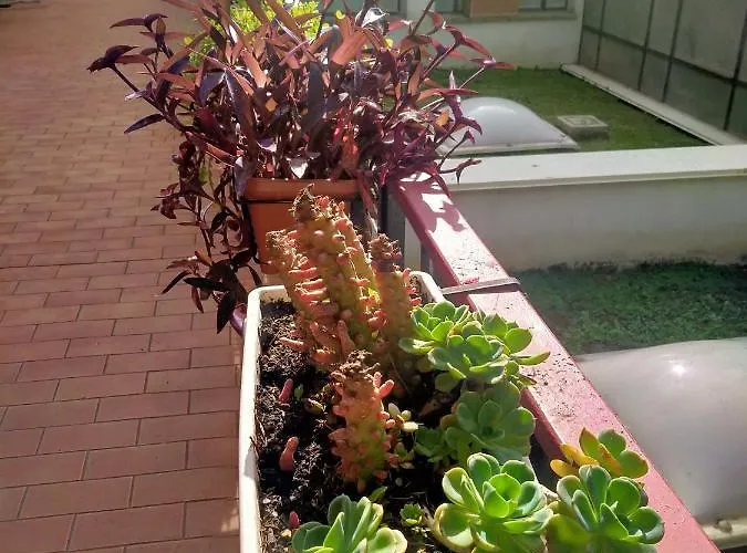 Casarancia Apartamento Roma